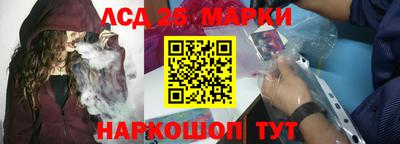 2c-b Кингисепп