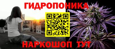 2c-b Кингисепп