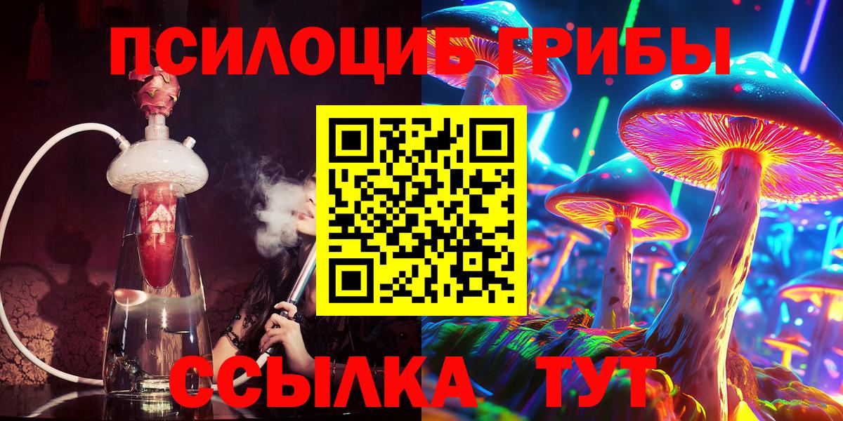 Псилоцибиновые грибы Psilocybine cubensis Кузнецк